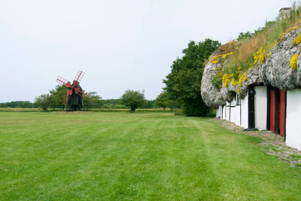 denmark: typical small farm mill next to an old half-timbered farmhouse thatched with a seaweed roof - thatched roof imagens e fotografias de stock