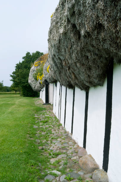 denmark: exterior wall of an old half-timbered farmhouse thatched with a seaweed roof - thatched roof imagens e fotografias de stock