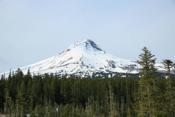 istock Mount Hood in Spring, Oregon-USA 1096044008