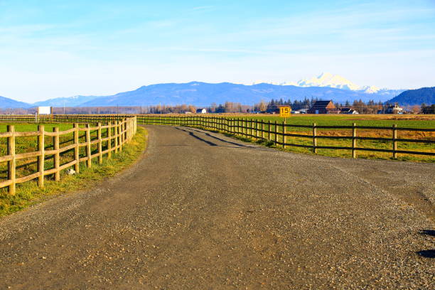 istock Mt Baker View from Skagit Valley, WA-USA 1096044880