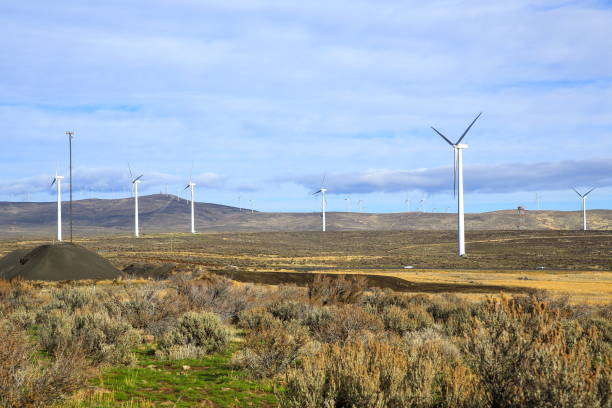 istock Wind turbines in Eastern Washington State, USA 1096045428