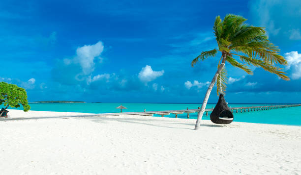 istock tropical Maldives island with white sandy beach and sea 1096045516