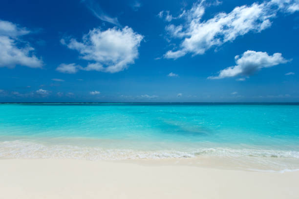 istock tropical Maldives island with white sandy beach and sea 1096045522