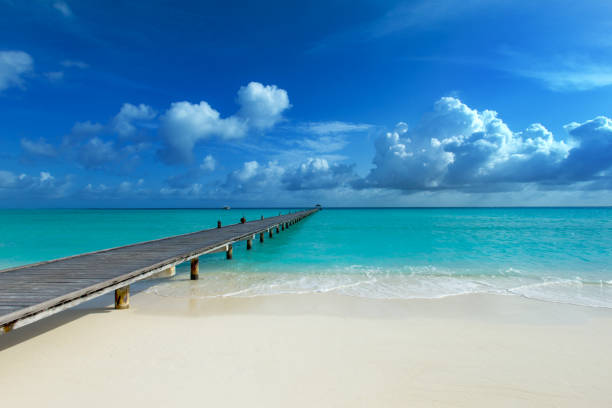 istock tropical Maldives island with white sandy beach and sea 1096045546