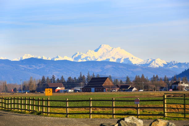 Mt Baker View from Skagit Valley, WA-USA Mt Baker View from Skagit Valley, WA-USA mt baker stock pictures, royalty-free photos & images