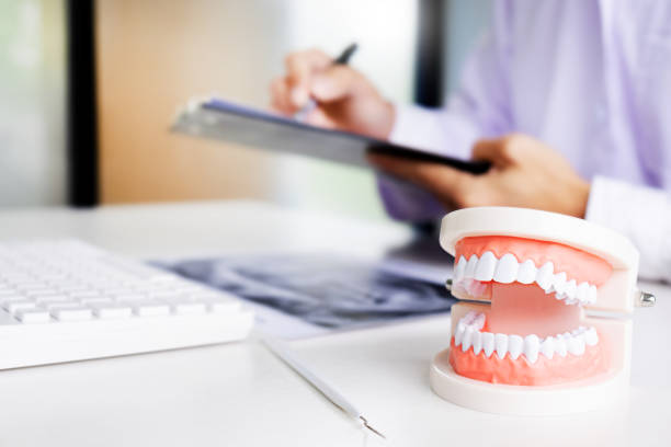 dentist with tooth model in dental office or clinic stock photo