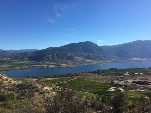 istock Overlooking The Osoyoos Area 1096055740