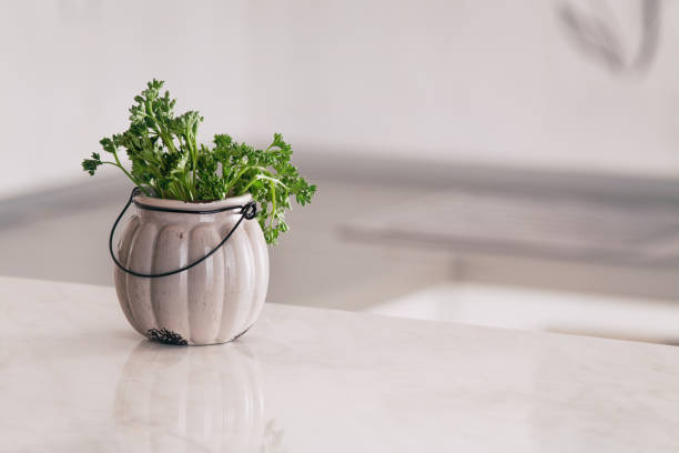 Close up of bowl with fresh spices on countertop in bright kitchen