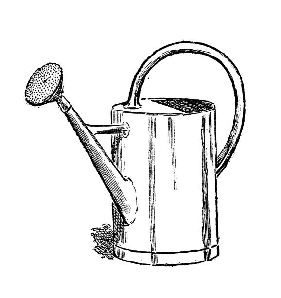 illustrazioni stock, clip art, cartoni animati e icone di tendenza di antica illustrazione di incisione francese antica: annaffiare la latta - watering can illustrations