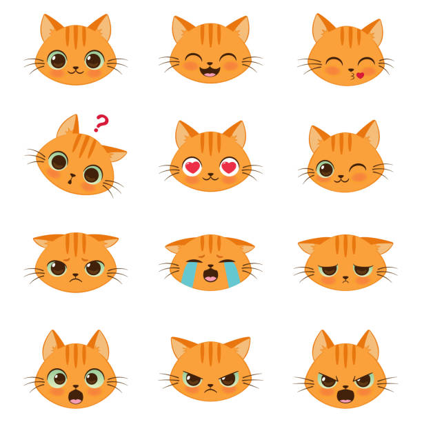 ilustraciones, imágenes clip art, dibujos animados e iconos de stock de conjunto de emociones del gato de dibujos animados - cabeza de animal