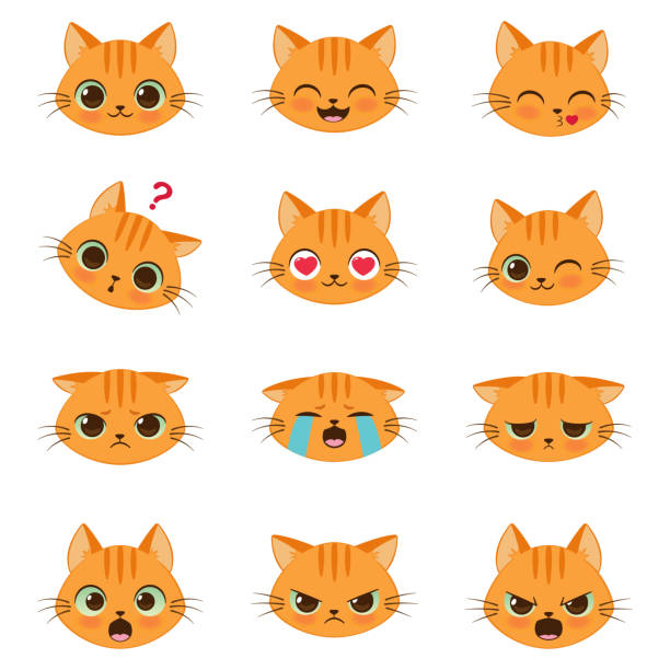 набор милый мультфильм кошки эмоции - голова животного stock illustrations
