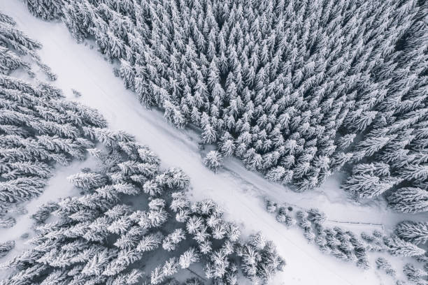 istock Winter forest and the road. View from above. 1096069162