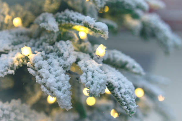 istock Closeup of Christmas-tree background 1096075200