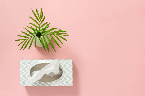 tissue box and palm leaves on pink background - tissue box flu virus kleenex imagens e fotografias de stock