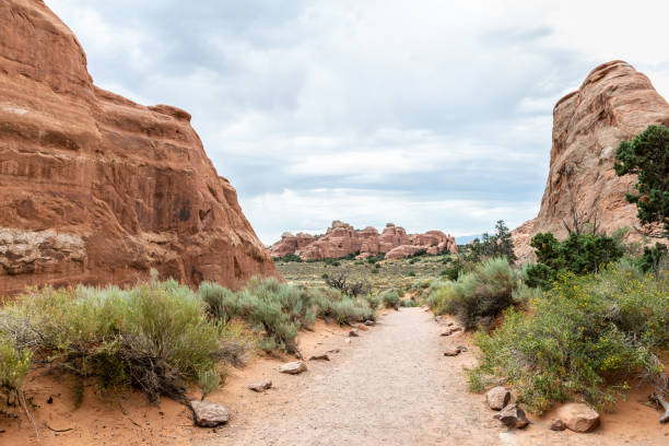 istock Devils Garden Trail in Arches National Park, Utah 1096078712
