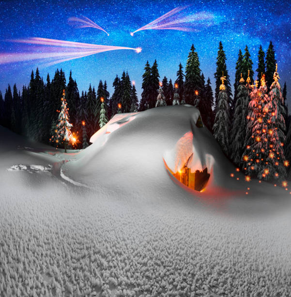 Christmas House in the Carpathians