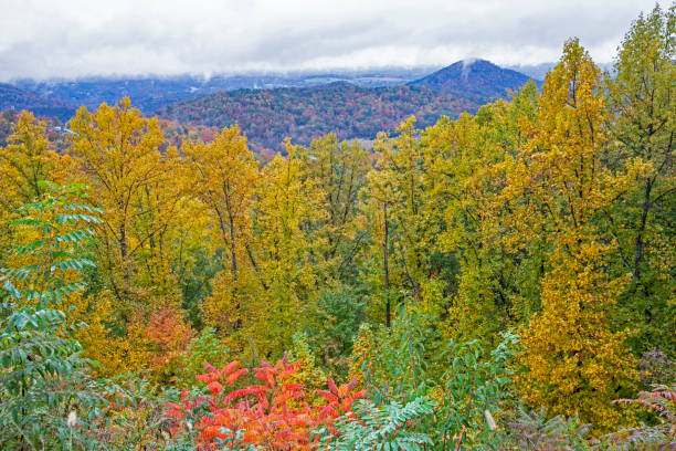 istock Fall vista in the Great Smoky Mountains. 1096082572