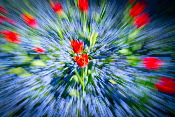 Bright floral impressionist abstract in zoom blur spring time garden color.