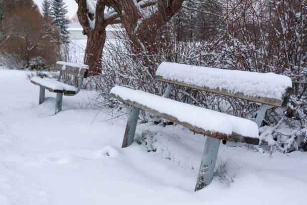 istock Bench in the park covered with snow 1096089868