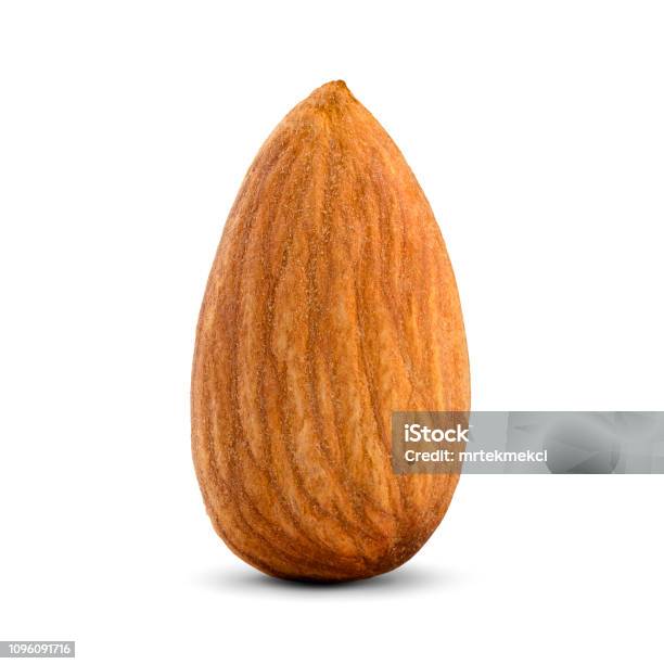 The Almond Isolated On White Background Stock Photo - Download Image Now - Almond, Almond Tree, Cut Out