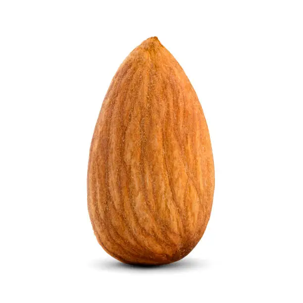 Photo of The almond isolated on white background