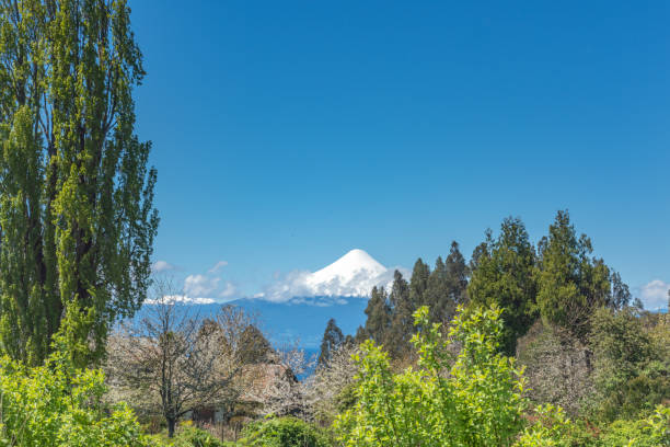 View to Villarrica Volcano, Pucon, Chile.