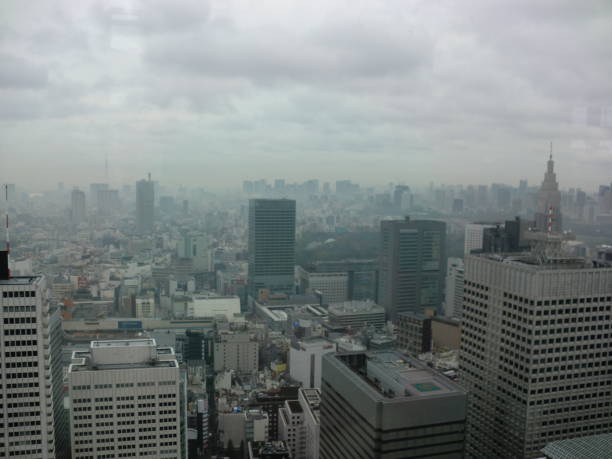 istock Roofs of Tokyo 1096106920