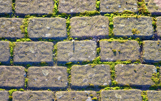 istock Natural stones with green moss between cobblestones. Abstract background. 1096109710
