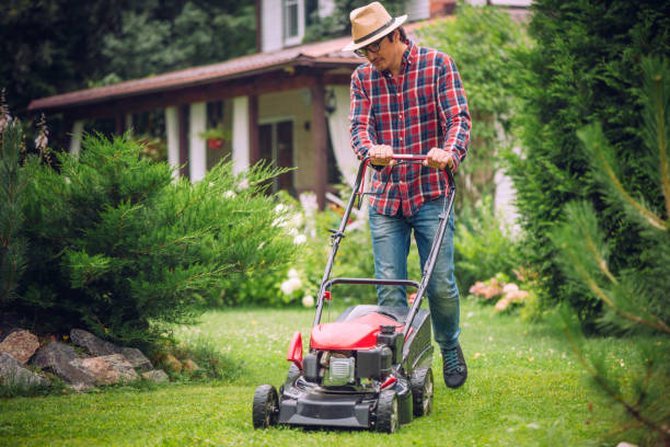 man using a lawn mower in his back yard - lawn mower red plant lawn imagens e fotografias de stock