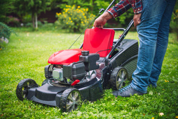 istock Man checking a lawn mower in his back yard 1096126536