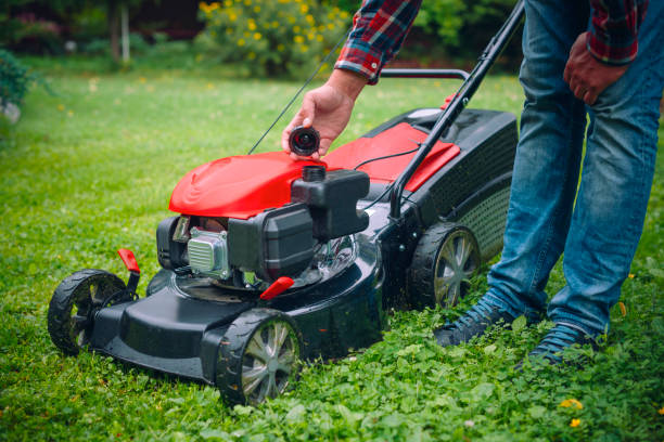 istock Man checking a lawn mower in his back yard 1096126552
