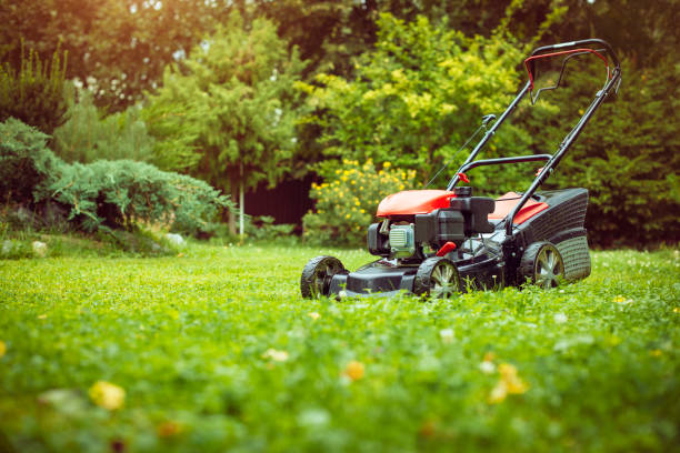 istock Lawn mower on green grass in back yard 1096126602