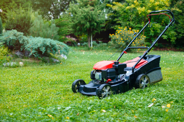 istock Lawn mower on green grass in back yard 1096126656