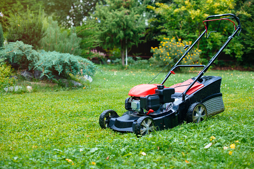 Lawn mower on green grass in back yard in sunny day