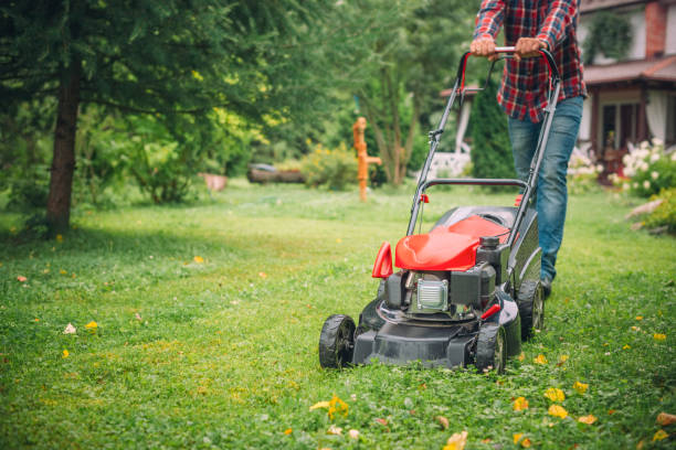 man using a lawn mower in his back yard - flower bed front or back yard ornamental garden flower imagens e fotografias de stock