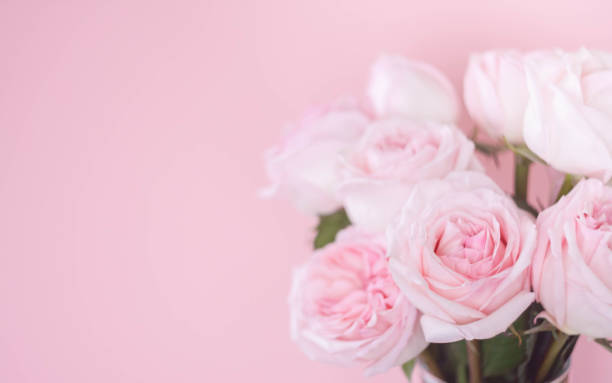 istock bouqet delicate pink roses on pink background 1096130962
