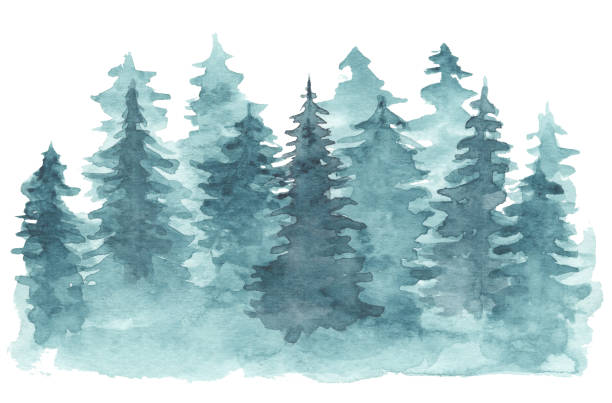 Watercolor background with blue coniferous forest Beautiful watercolor background with mystery blue coniferous forest. Mysterious fir or pine trees in mist illustration for winter Christmas design, isolated on white background alaska landscape stock illustrations