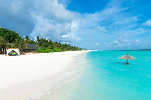 istock tropical Maldives island with white sandy beach and sea 1096132212