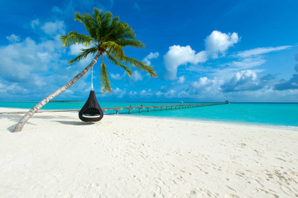 istock tropical Maldives island with white sandy beach and sea 1096132272
