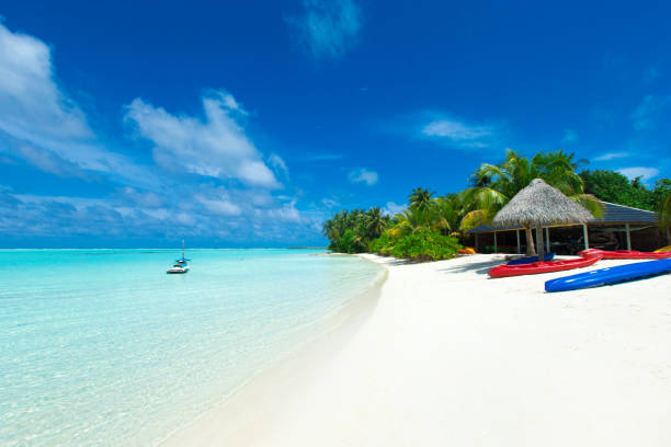 istock tropical Maldives island with white sandy beach and sea 1096132288