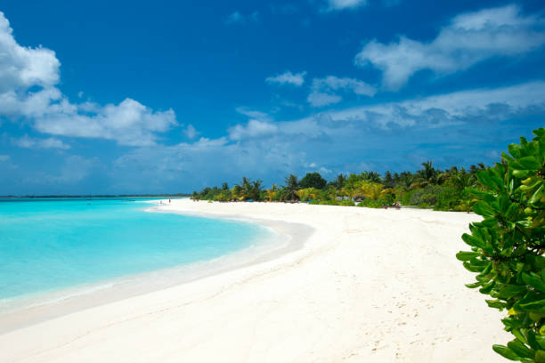 istock tropical Maldives island with white sandy beach and sea 1096132316