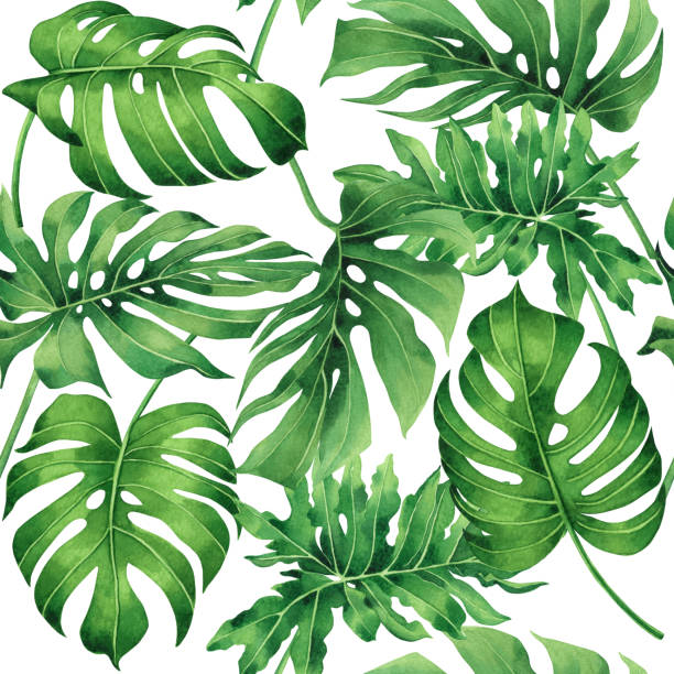 istock Watercolor painting tropical monstera,palm leaf,green leave seamless pattern background.Watercolor hand drawn illustration tropical exotic leaf prints for wallpaper,textile Hawaii aloha jungle style. 1096133166
