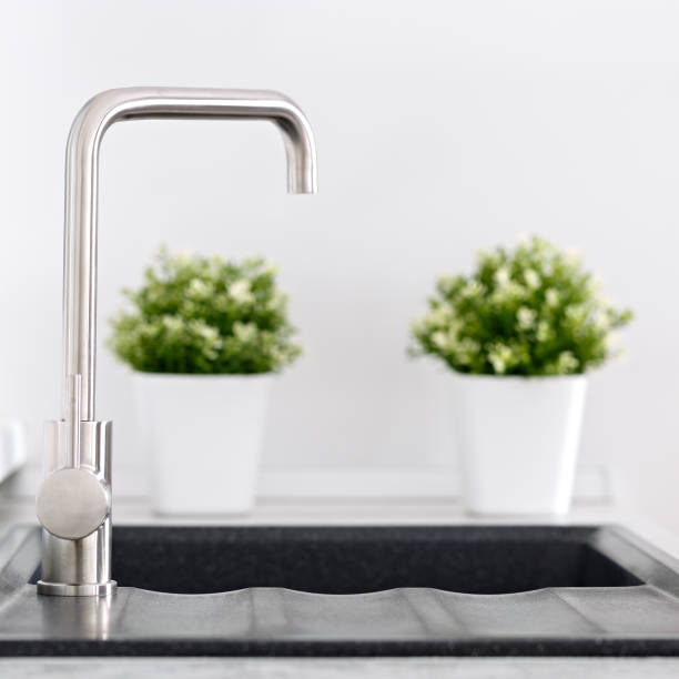 istock Water faucet with sink and decorative plants in the kitchen. 1096143632