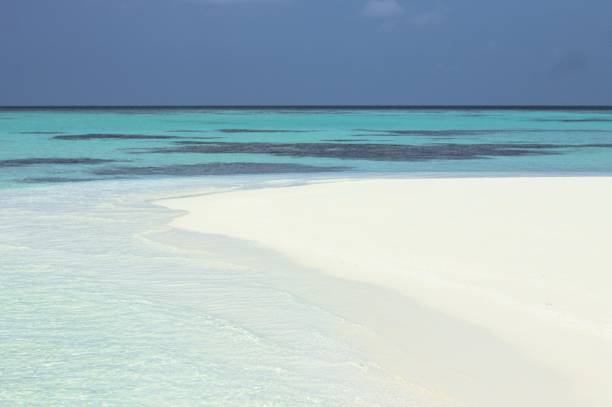 istock Beach of a desert island (Ari Atoll, Maldives) 1096145912