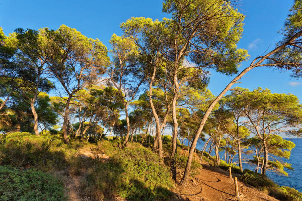 Wild landscape along the Ligurian coastline between Noli and Finale Ligure. Province of Savona. Liguria. Italy.