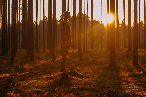 istock Young girl staying on the stump in forest 1096149300
