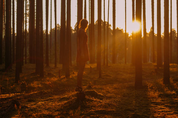 istock Young girl staying on the stump in forest 1096149668