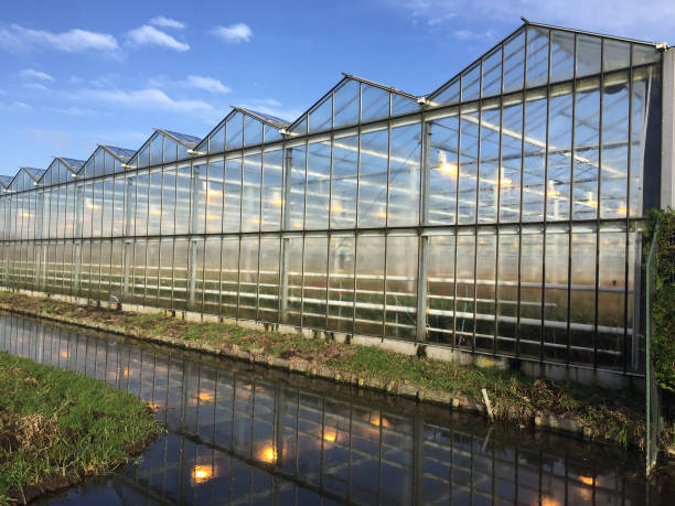 istock Agriculture business glass house 1096156246