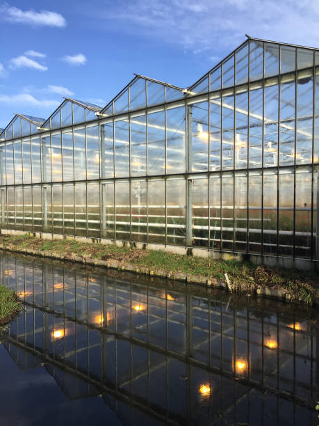 istock Agriculture business glass house 1096156254