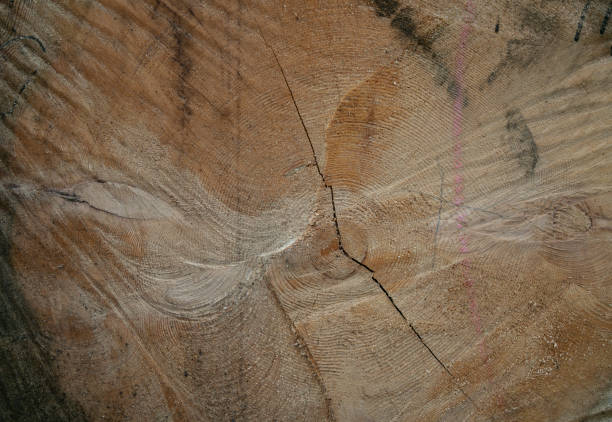 istock Wooden background close up 1096157148